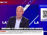 Replay BFM Politique - D'autres pays européens devraient se mettre en action annonce Arnaud Rousseau (FNSEA)