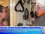 Replay Les longs formats des Locales - Dans votre assiette: voyage au royaume du pain d'épices à Gertwiller