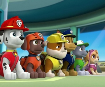 Replay Paw Patrol, la Pat'Patrouille - Le bébé chauve-souris