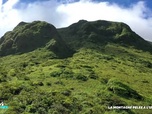 Replay Positive Outre-mer - La Montagne Pelée à l'UNESCO