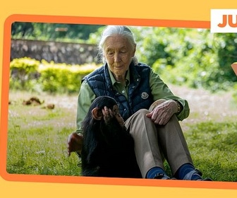 Replay Jane Goodall : une vie au service de la cause animale - ARTE Journal Junior