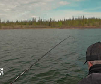 Replay Pêche XXL : derniers géants - S4E8 - Prédateurs de l'Arctique