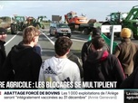 Replay 20H BFM - Crise agricole: les agriculteurs bloquent toujours de nombreux axes routiers