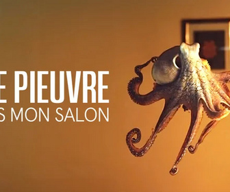 Replay Une pieuvre dans mon salon