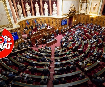 Replay 100% Sénat - Programmation nationale de l'énergie : adoption du texte au Sénat