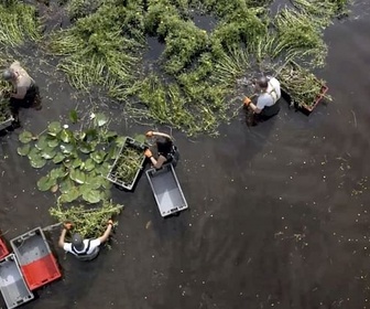 Replay La Brenne, les liens de l'eau - Europe sauvage, la part de l'homme