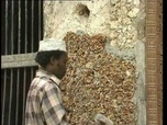 Replay Découverte du Monde - Lamu, cité Swahilie
