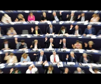 Replay Combien d'argent le Parlement européen a-t-il alloué aux groupes politiques ?