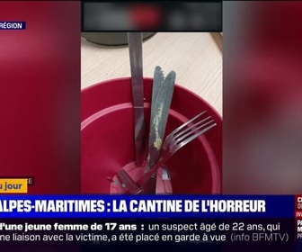 Replay L'image du jour - Insectes dans la nourriture, couverts sales... des parents dénoncent l'insalubrité de la cantine du Centre International de Valbonne