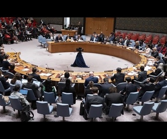 Replay Pas de reconnaissance de la Palestine à l'ONU après le veto de Washington