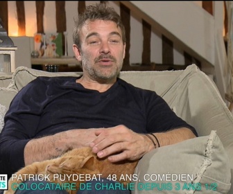 La vie secrète des chats replay