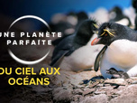 Replay Une planète parfaite - 03/03/2026