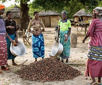 Replay Kadoua et les cueilleuses de karité burkinabè