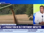 Replay Good Morning Business - Canicule : comment se porte le marché des récoltes ?