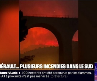 Replay 20H BFM - Aude, Hérault... Le point sur les incendies qui ravagent le sud de la France