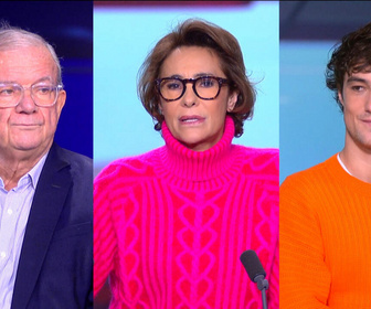 Replay Face à face - Polémique autour d'une labellisation des médias : l'Élysée se défend