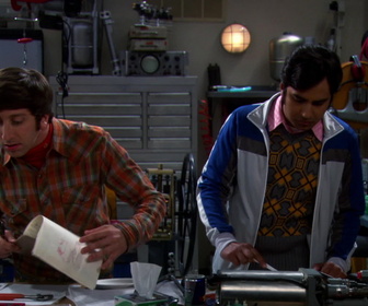 Replay The Big Bang Theory - S5E2 - Microbes, acariens, tiques et compagnie !