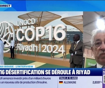 Replay Good Morning Business - Le monde qui bouge - L'Interview : L'Europe aussi touchée par la désertification - 03/12