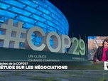 Replay Élément Terre - COP29: inquiétude sur les négociations, le projet d'accord final ne satisfait personne