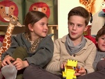 Replay Familles nombreuses : la vie en XXL - Saison 09 Episode 89 du 3 juin 2025