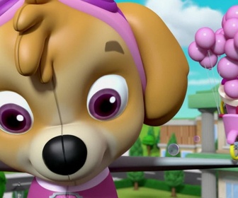 Replay Paw Patrol, la Pat'Patrouille - La fête de la grande vallée