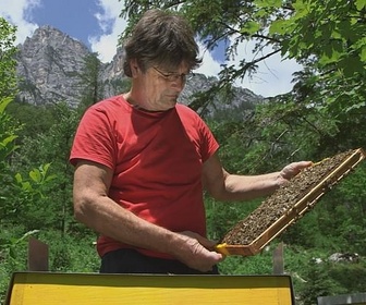 Replay Slovénie, le refuge de l'abeille carniolienne - Les maîtres des abeilles