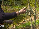 Replay Une saison au zoo - S13 E12