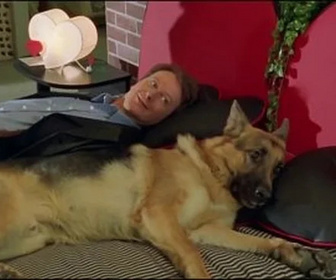 Replay Rex, chien flic - Mort.com