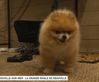 Replay Un jour, un doc - Trouville-sur-mer : la grande rivale de Deauville