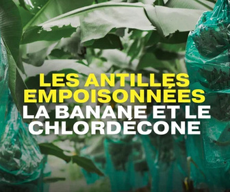 Replay La ligne bleue