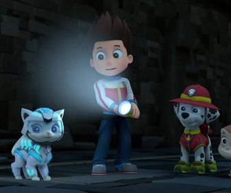 Replay Paw Patrol, la Pat'Patrouille - Super Chats : le rugissement du chat