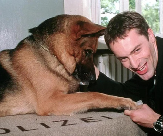 Replay Rex, chien flic - 31/07/2026