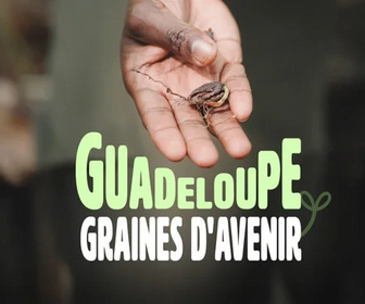 Outremer.ledoc replay