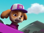 Replay Paw Patrol, la Pat'Patrouille - Mission camion : Panique sur l'autoroute