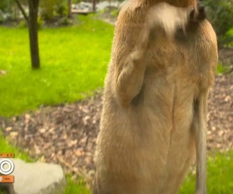 Replay Une saison au zoo - S14 E56