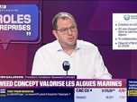 Replay Paroles d'entreprises - Sébastien Balusson (Seaweed Concept) : Seaweed Concept valorise les algues marines - 15/11