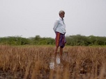 Replay Pénuries alimentaires mondiales - Sri Lanka : voter la faim au ventre