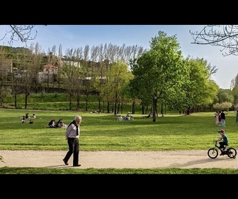 Replay Plus de parcs, de rivières et de corridors verts: Guimarães se prépare à la chaleur extrême
