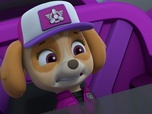 Replay Paw Patrol, la Pat'Patrouille - Mission camion : Le chalet snowboarder