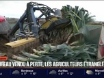 Replay BFM Première prématinale - Focus Régions - 10/02
