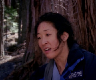 Replay Grey's anatomy - S08 E24 - Le vent tourne