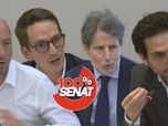 Replay 100% Sénat - Zones grises de l'information : audition de Giuliano da Empoli