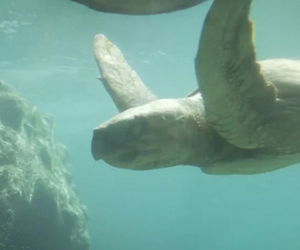 Replay C pas si loin - 06/01/2026