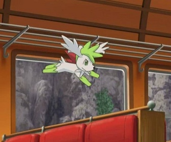 Replay Pokémon : Giratina et le Gardien du Ciel - 01/02/2026