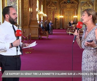 Replay En direct du Sénat - Le masculinisme se distille de façon insidieuse dans nos jeunes générations