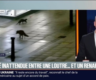 Replay BFM Première prématinale - Le break du lundi 1er décembre