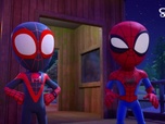 Replay Spidey et ses amis extraordinaires - Une nuit comme en plein jour