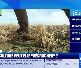 Replay Good Morning Business - Pire récolte de blé, production de fruits en baisse... La filière agricole française peut-elle décrocher?