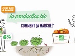 Replay C'est bon à savoir - La production bio, comment ça marche ?