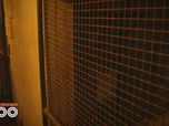 Replay Une saison au zoo - S12 E45